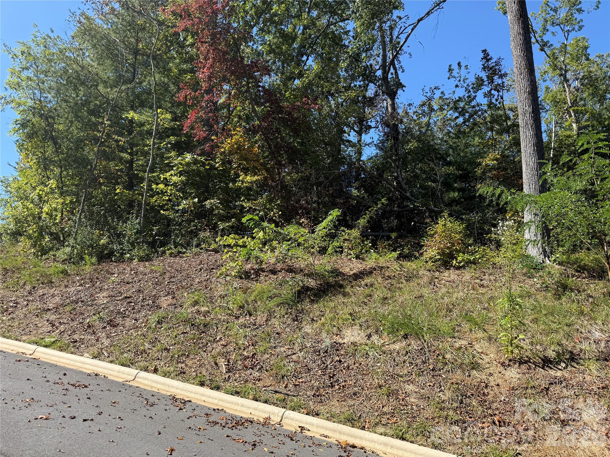 Asheville West - Land