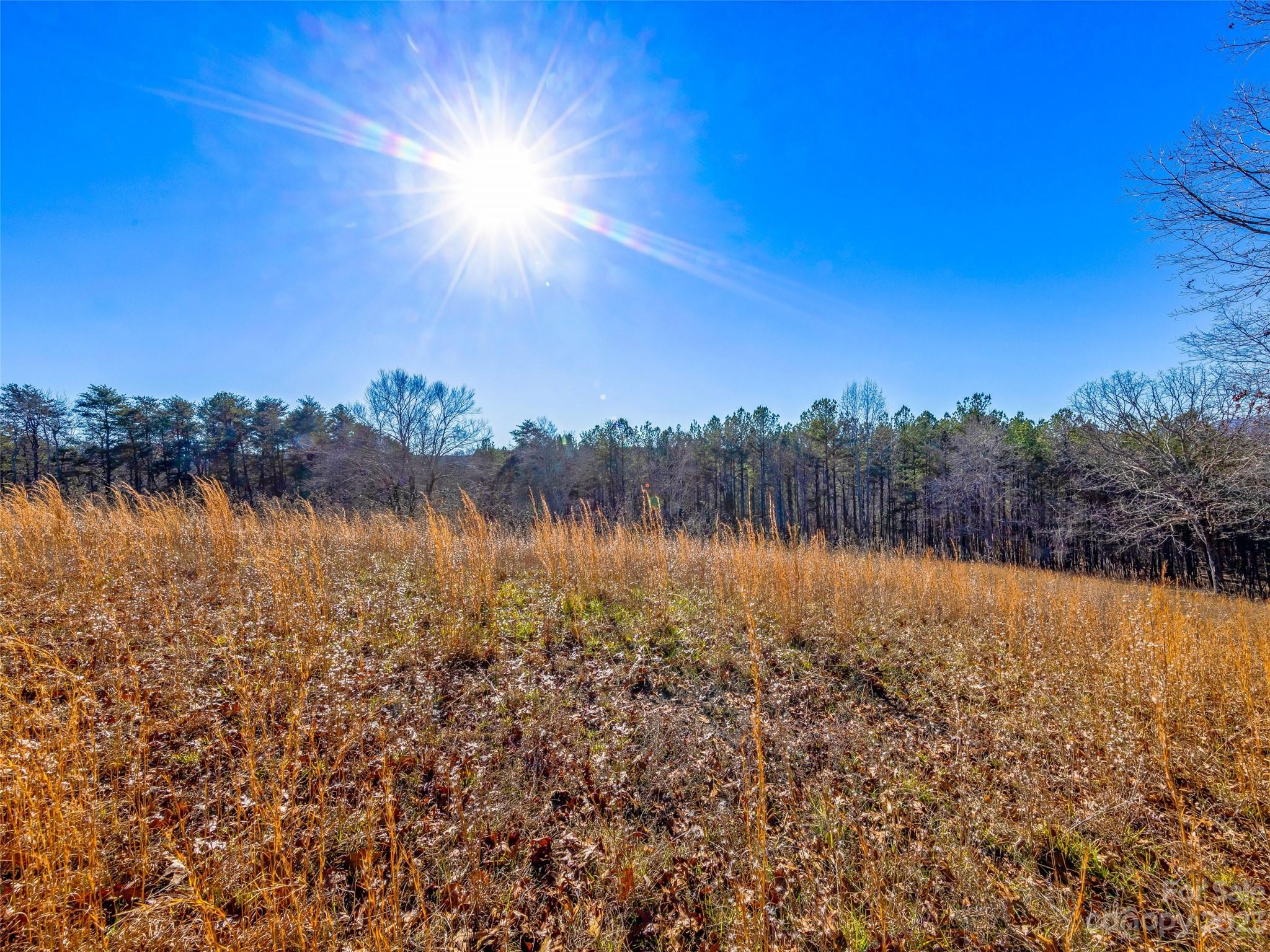 Foxwood Hills - Residential