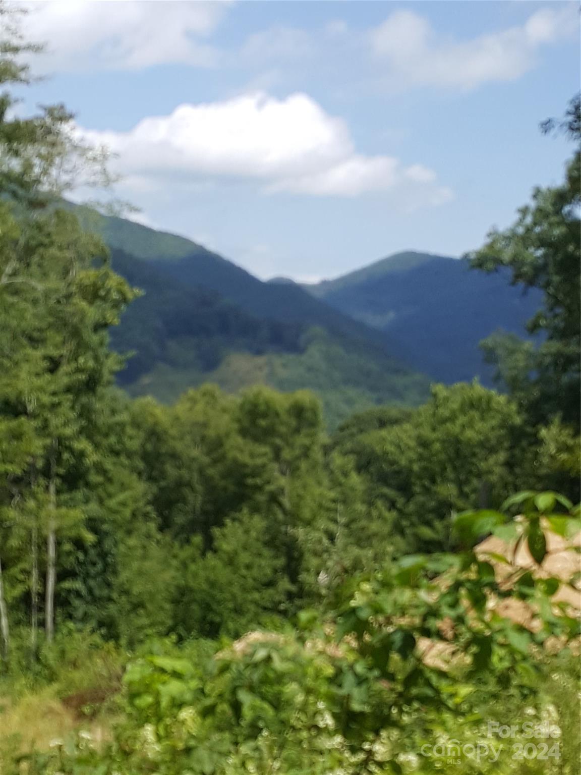 112 Tenderfoot Trail 112