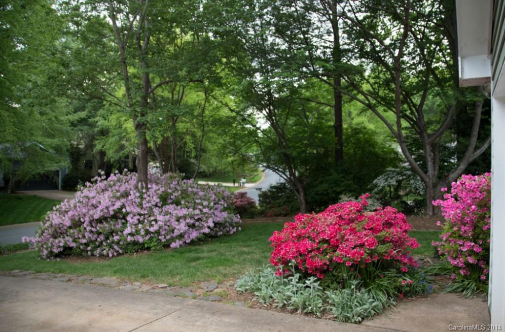 Cedarfield - Residential