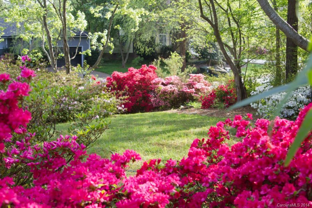 Cedarfield - Residential