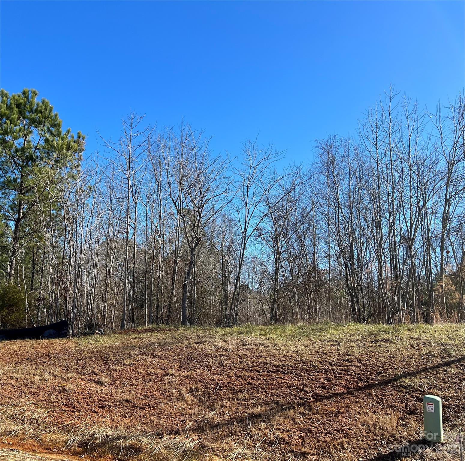 Davidson Pond - Land