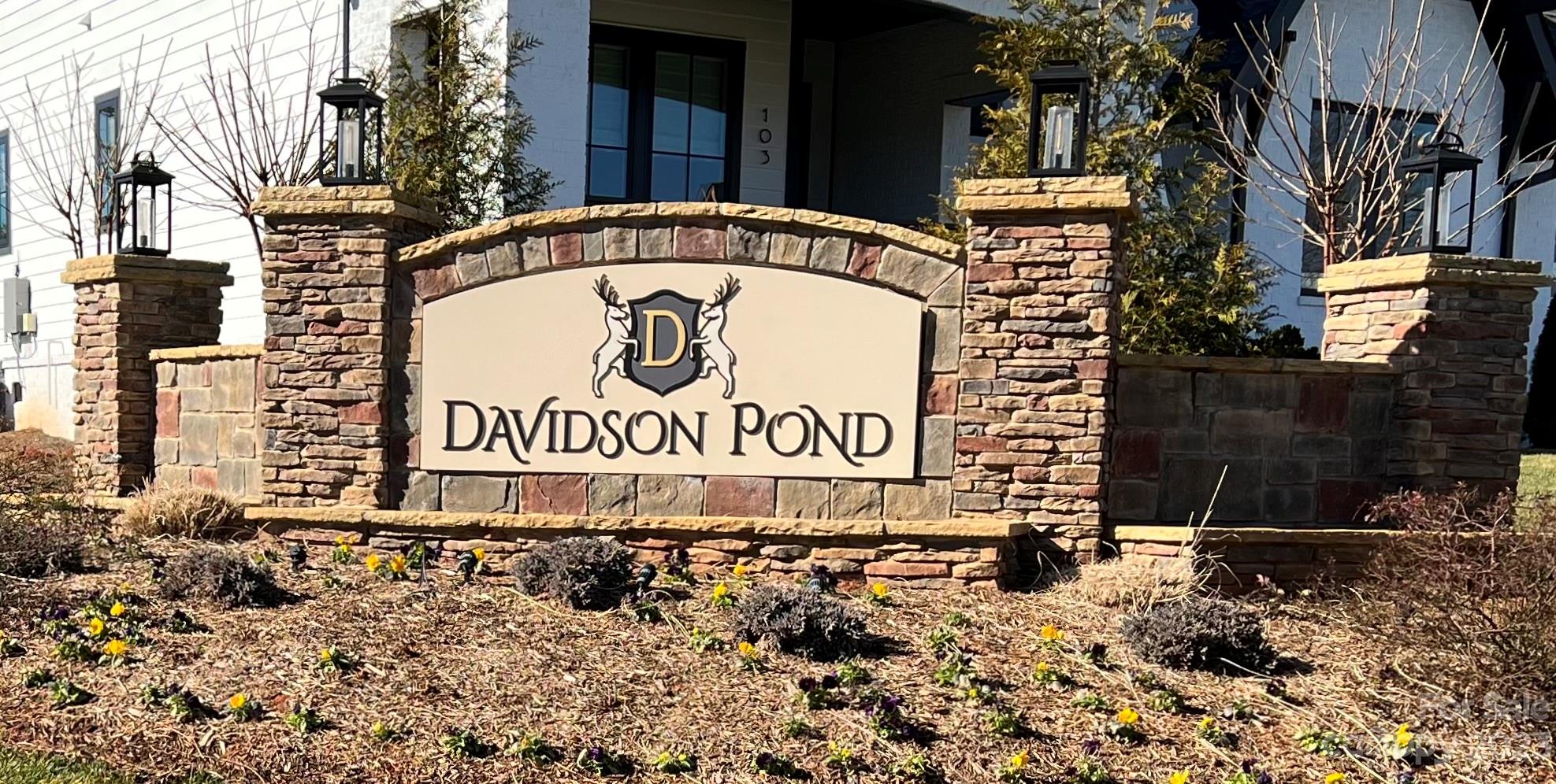 Davidson Pond - Land