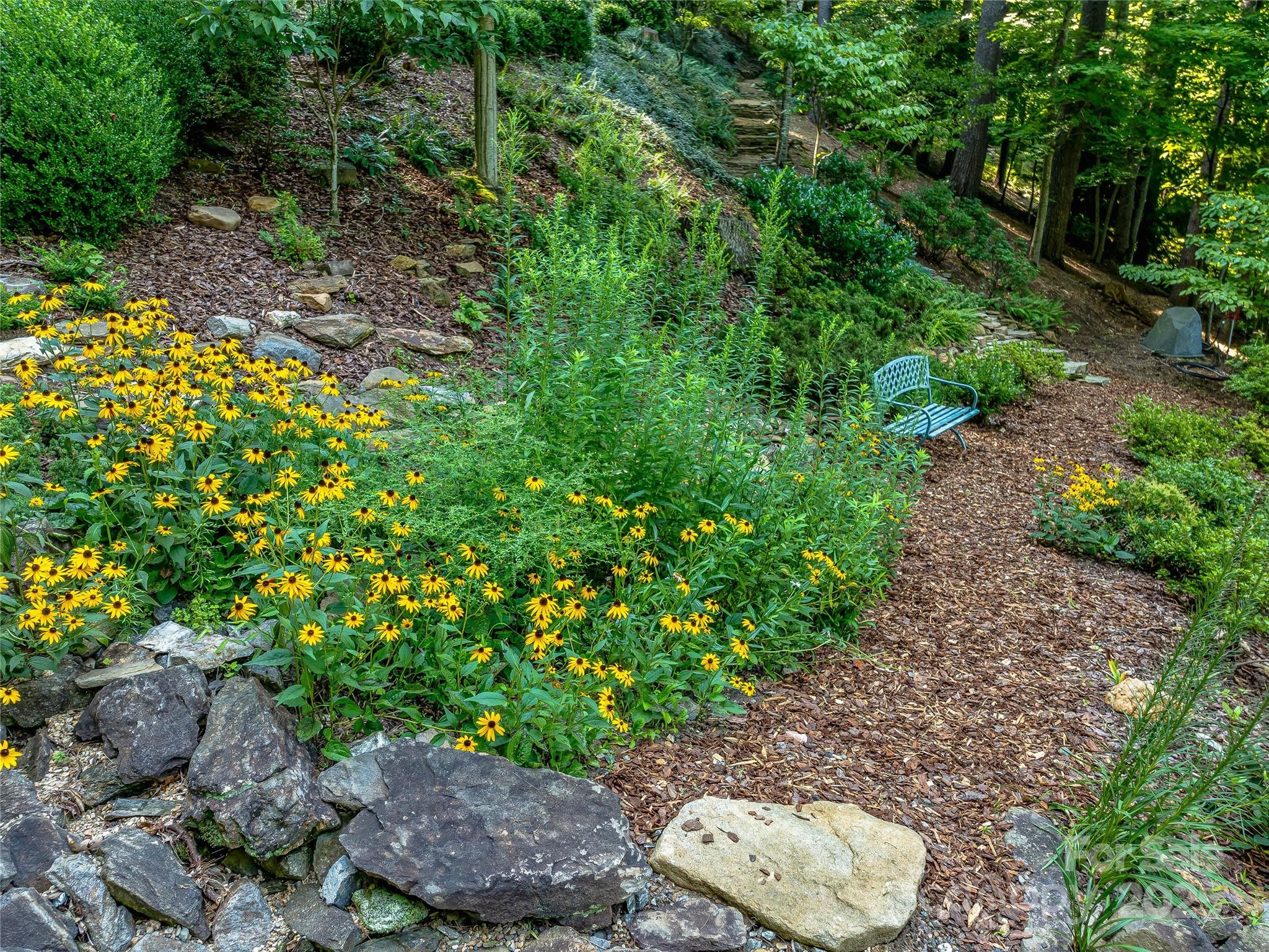 Town Mountain Preserve - Residential