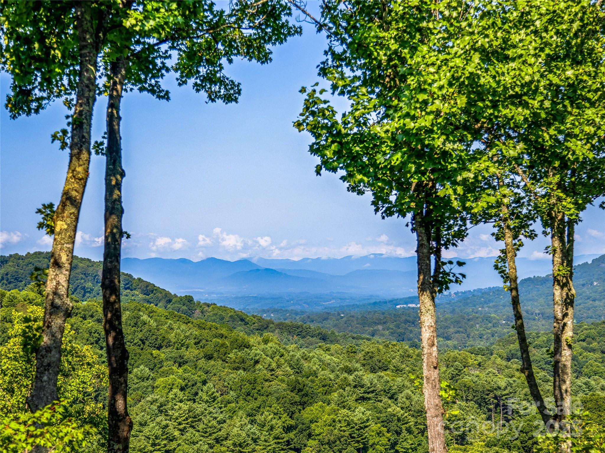 Town Mountain Preserve - Residential