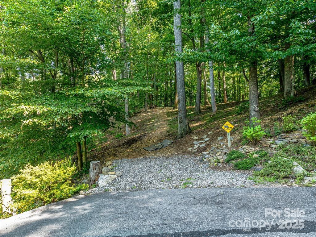Town Mountain Preserve - Residential