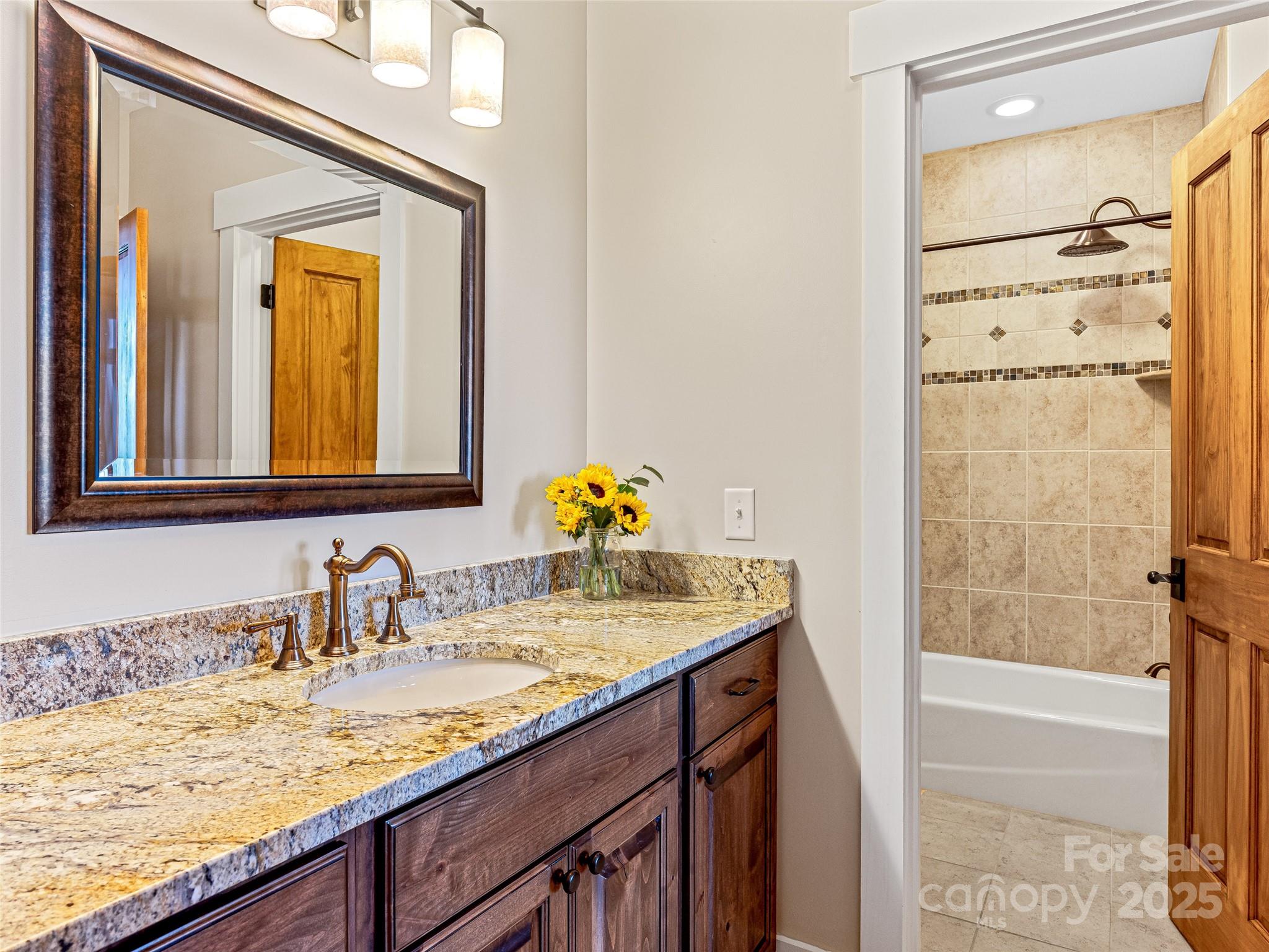 Town Mountain Preserve - Residential