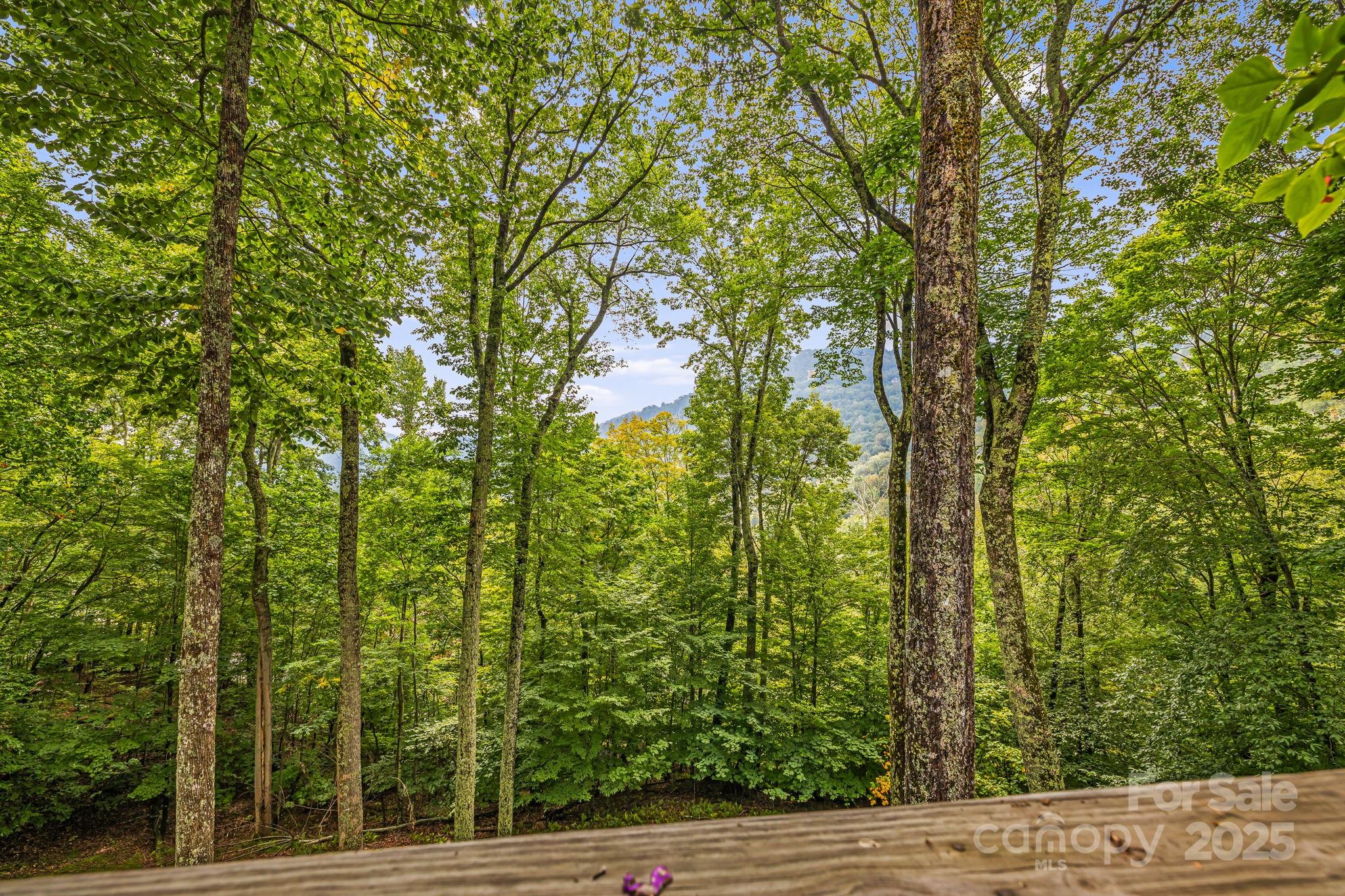 215 Goldenleaf Road