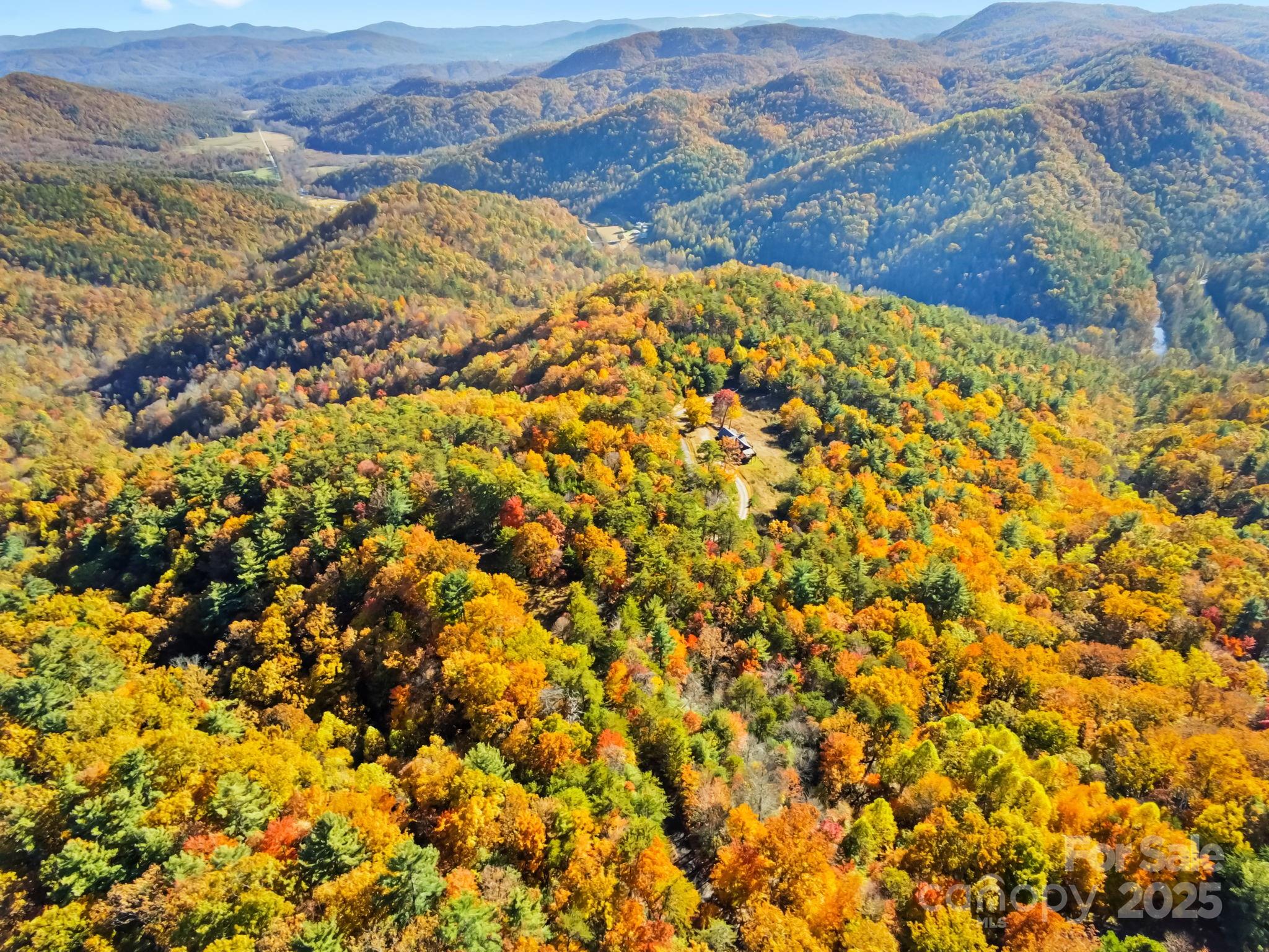 675 Cabin Ridge Road