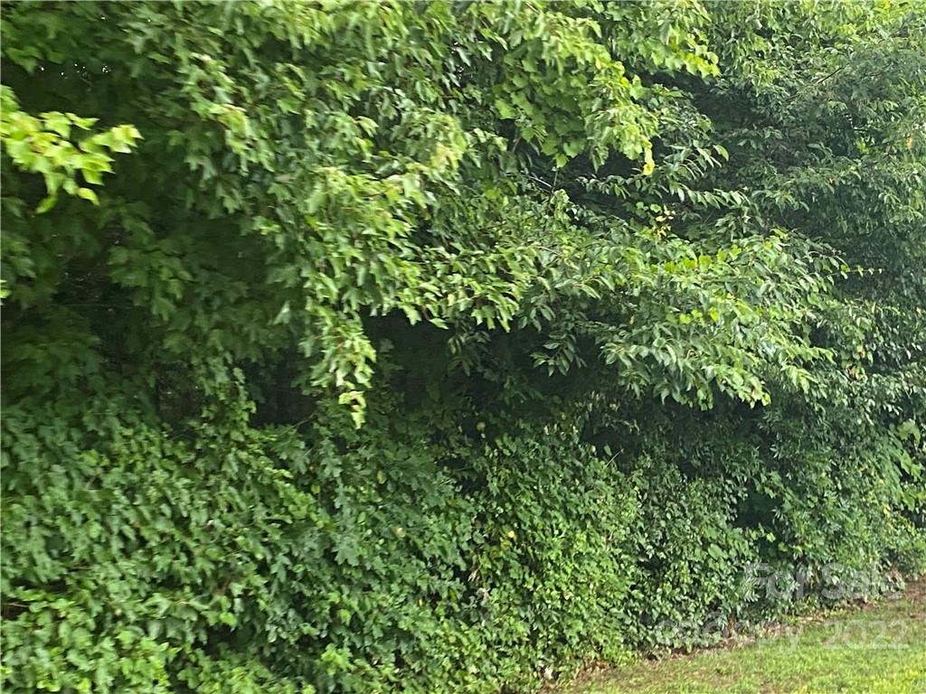 Heritage Farms - Land