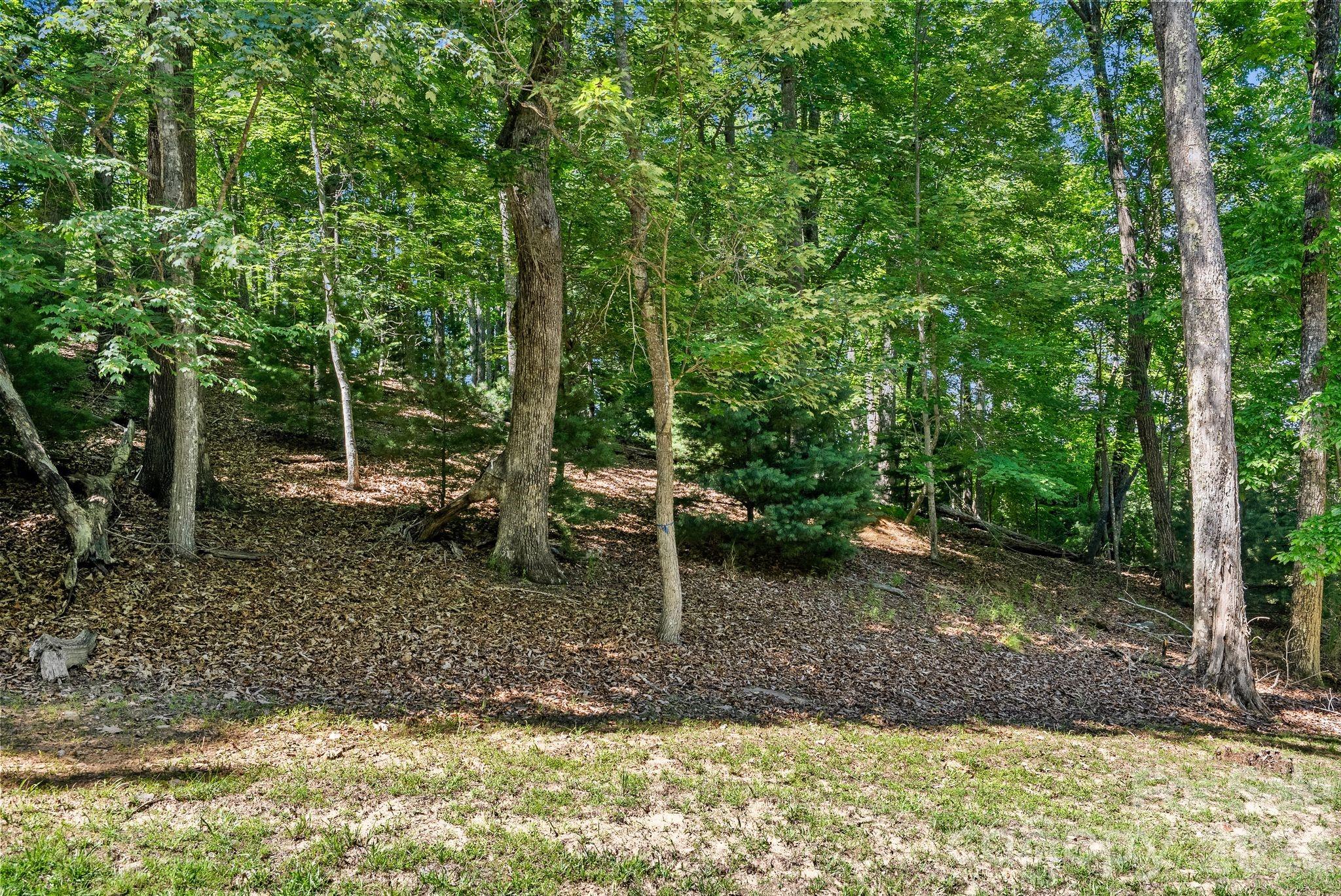 472 Mills River Way