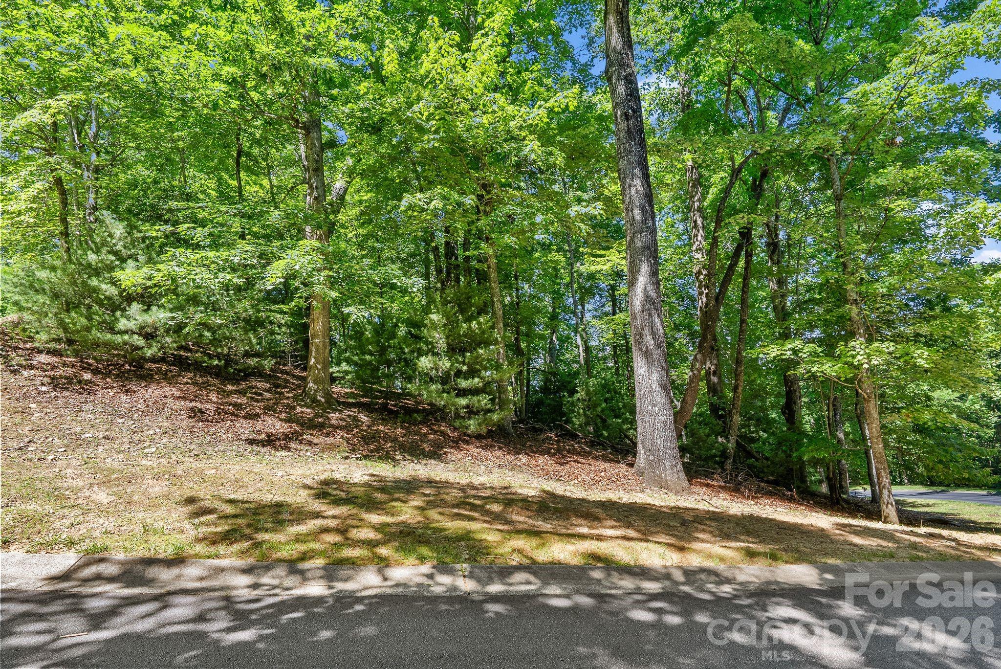 472 Mills River Way