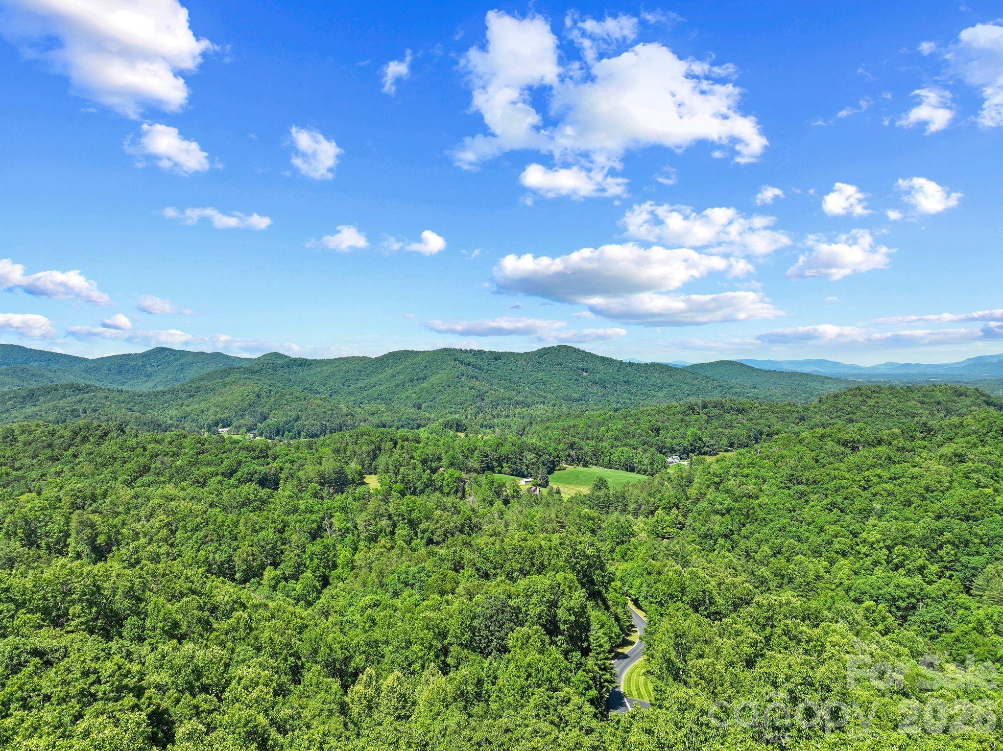 472 Mills River Way