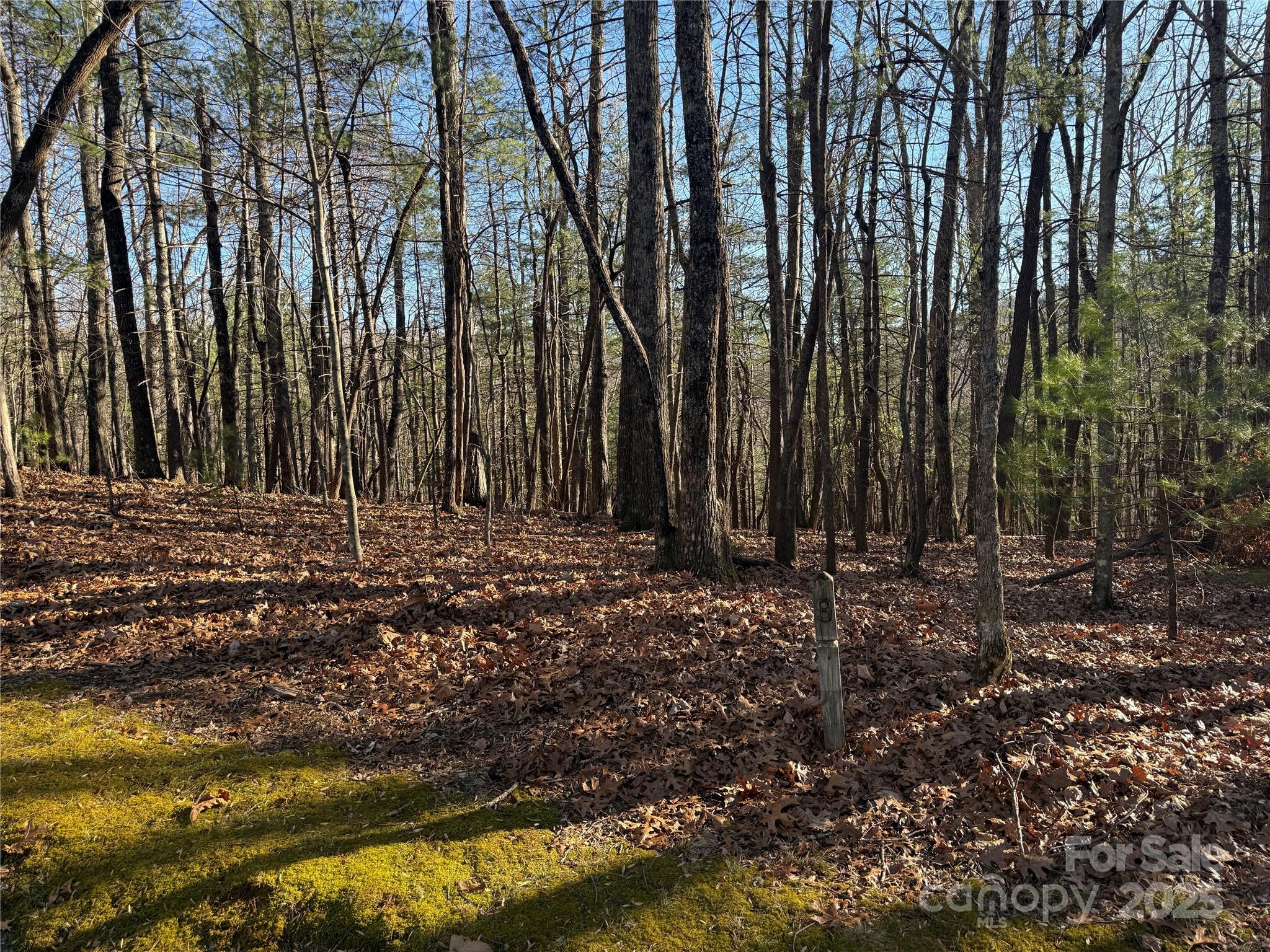 V/L Spanish Oak Drive 9