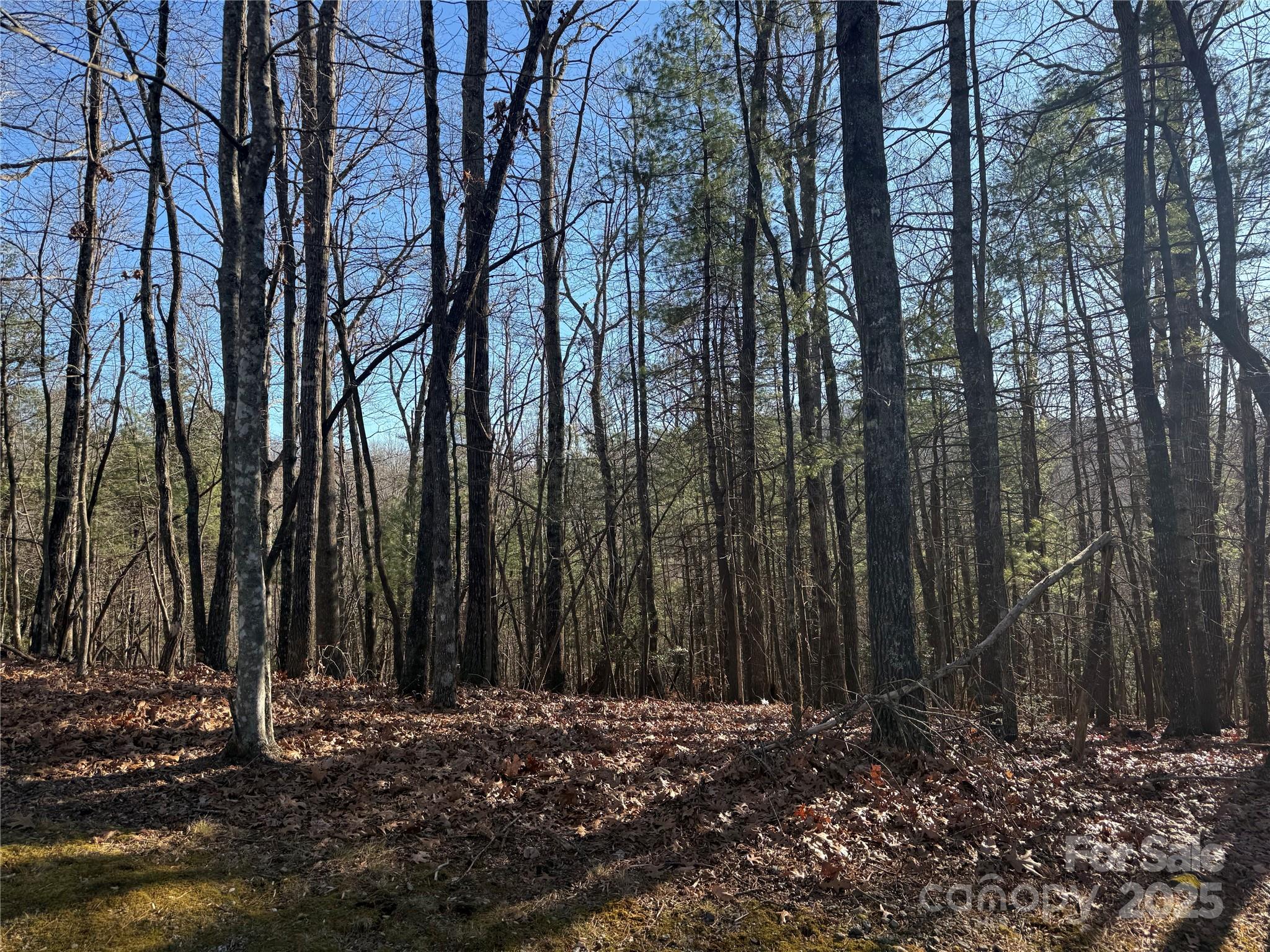 V/L Spanish Oak Drive 9