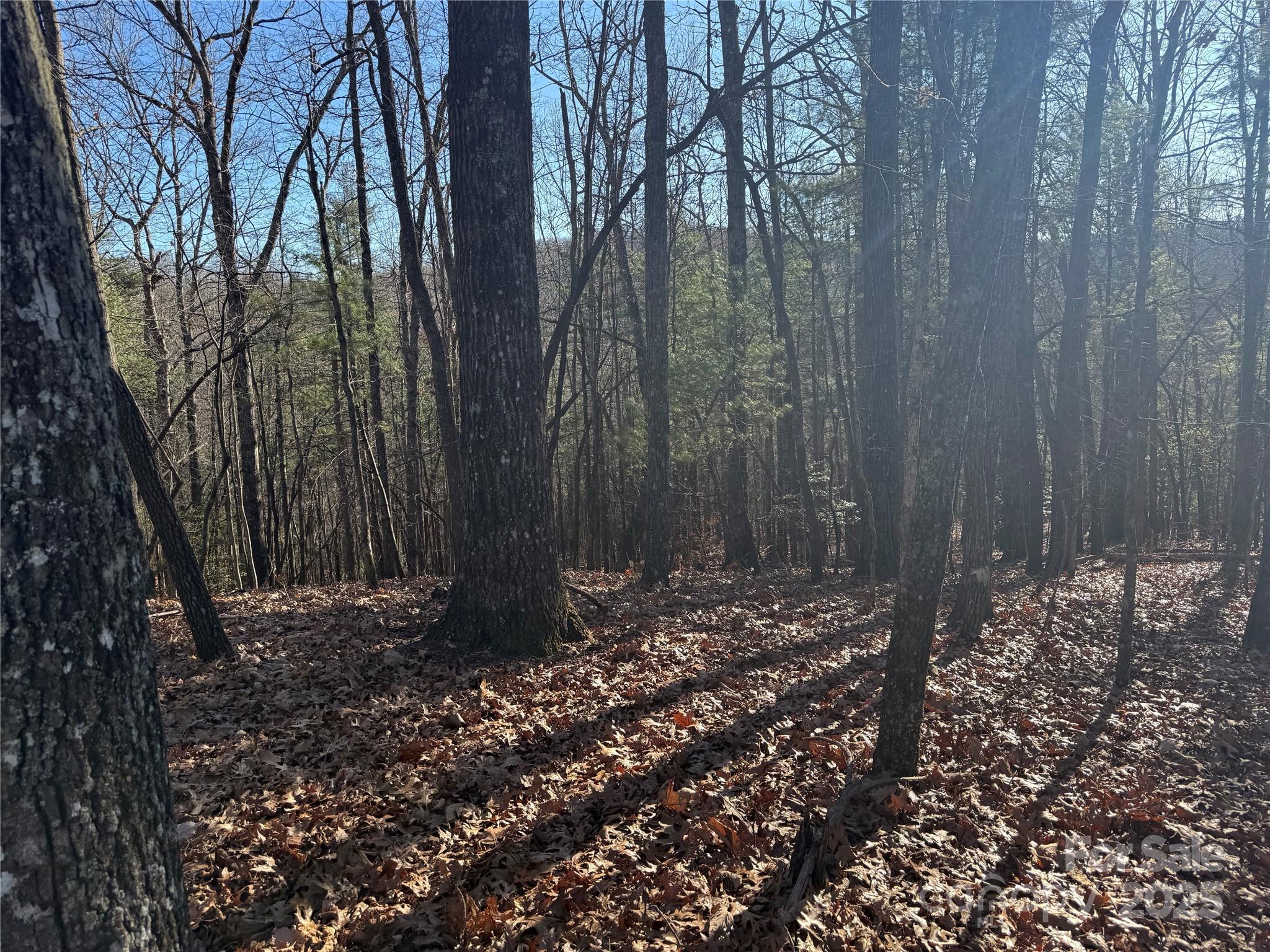 V/L Spanish Oak Drive 9