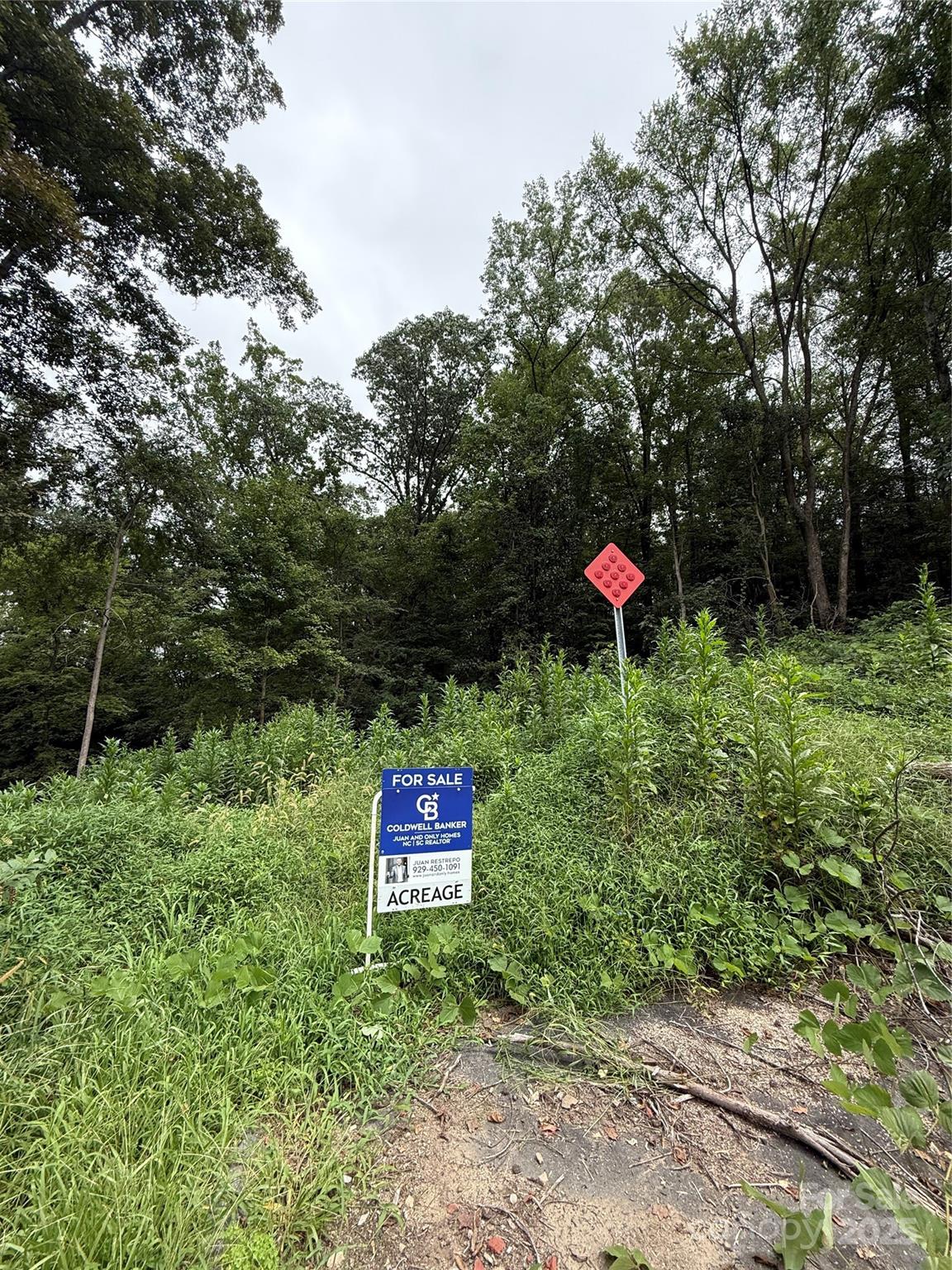 0000 Meadowview Avenue SW