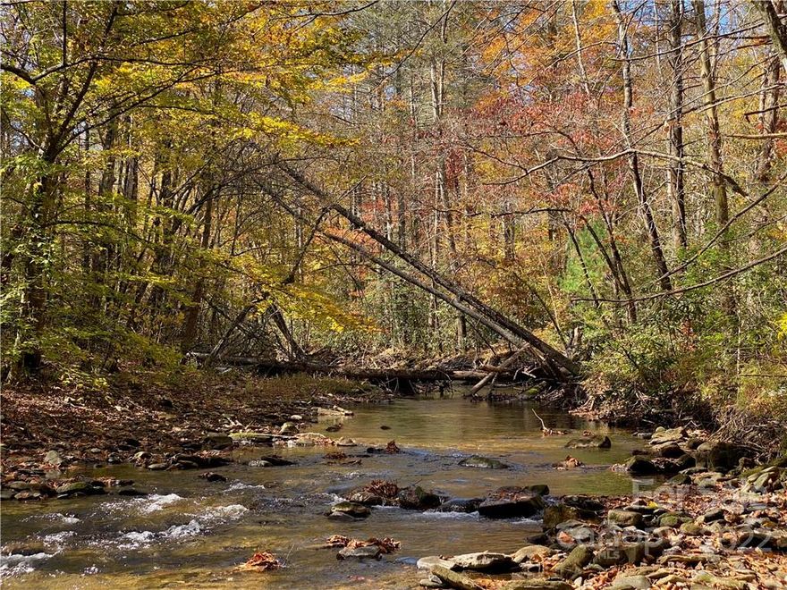 ANOTHER BIG PRICE DROP! Beautiful BUCK CREEK FRONTAGE so you BETTER BRING YOUR FLY ROD! LEVEL ground for an easy build & power is on site. Just imagine walking out of your back door down to that ROCKY RUSHING WATER! It doesn't get much better. And this little slice of paradise is UNRESTRICTED, so bring your camper if you want & enjoy the place as you please! Easy access off of a state maintained road but the property still feels quite private. 3 bedroom septic! Septic docs, old flood elevation certificate, & survey on file! Across the road is a large tract owned by Foothills Conservancy of NC that will be transferred over to the US Forest Service later this year. It's hard to beat the peace of mind that comes with knowing a neighboring property won't be developed.  Only a few miles down the road from the Blue Ridge Parkway for endless hiking and outdoor adventures. In the other direction is an easy scenic drive to Marion where you'll find shopping, restaurants, groceries, & a hospital.