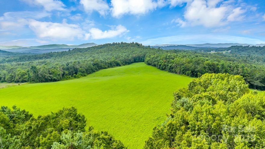 Rare Opportunity to buy an outstanding property in Alleghany County, part of which adjoins the Blue Ridge
Parkway! Over 183 acres. Partially cleared, mostly wooded and most of it fenced. Beautiful long range views from
the upper meadow. Some harvestable timber, springs and streams throughout the property. There is an old family
'Home Place' and an old mobile home on the property, but the owner states neither are habitable. There is also an
old well and septic, but no current information on current information of their condition or usability available. No Restrictions. Opportunities are endless. Abundant Wildlife!