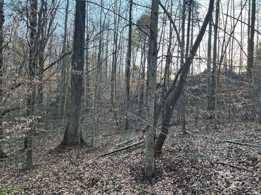 Build your dream home on this 4.34 Acres. This lot has a stream that runs along the whole back side of the property. Perfect site for a home with a walkout basement. City water with no city taxes to pay. All in prestigous West Gate Subdivision. Come look while it is avalible!