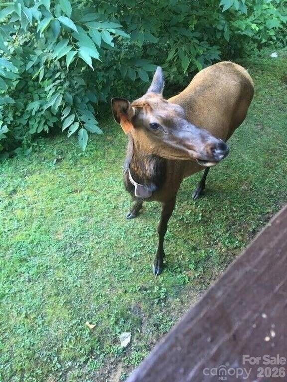 Bear Ridge - Residential