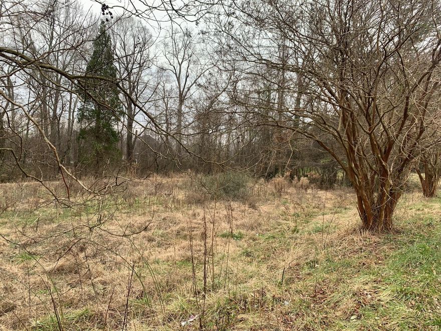 This vacant land is perfect location for prime development! It is already zoned Residential 6! Townhomes are gaining popularity in Salisbury this property would be great for that type of development! Potential for many different types of development including office or retail. Located on convenient Jake Alexander which is minutes away from I-85, Highway 52, Highway 801, Highway 70 & Highway 601. Convenient location to shopping and all Salisbury has to offer! Contact City of Salisbury to get more information about what can be built within this zoning and to gain info on having property rezoned. Property is part of Parcel ID# 071 069. Property has not been surveyed. No survey available therefore exact acreage unknown. Unknown if there are any easements affecting the property. Bring your ideas and explore the possibilities!