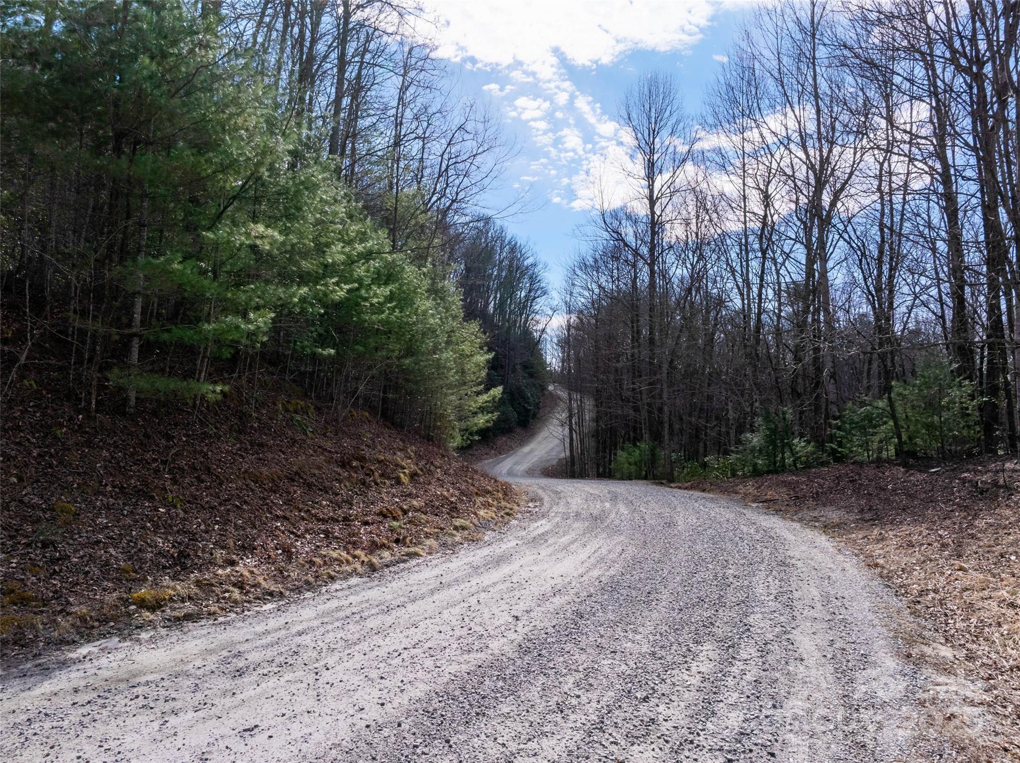 Lot 56 Big Branch Road 56A