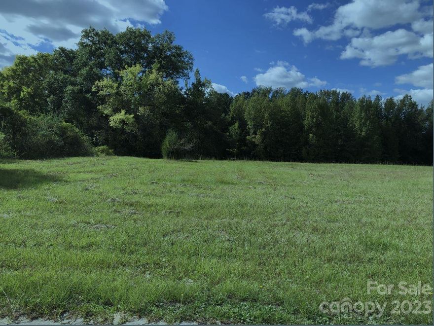 Do not miss the opportunity to build your dream home on this great level 1-acre lot in the city of Heath Springs. Close to many amenities, including doctor offices, shopping, restaurants, churches, etc. Sellers have other acreages in different locations for sale and are willing to negotiate a group sale for all. Contact agent for more details.