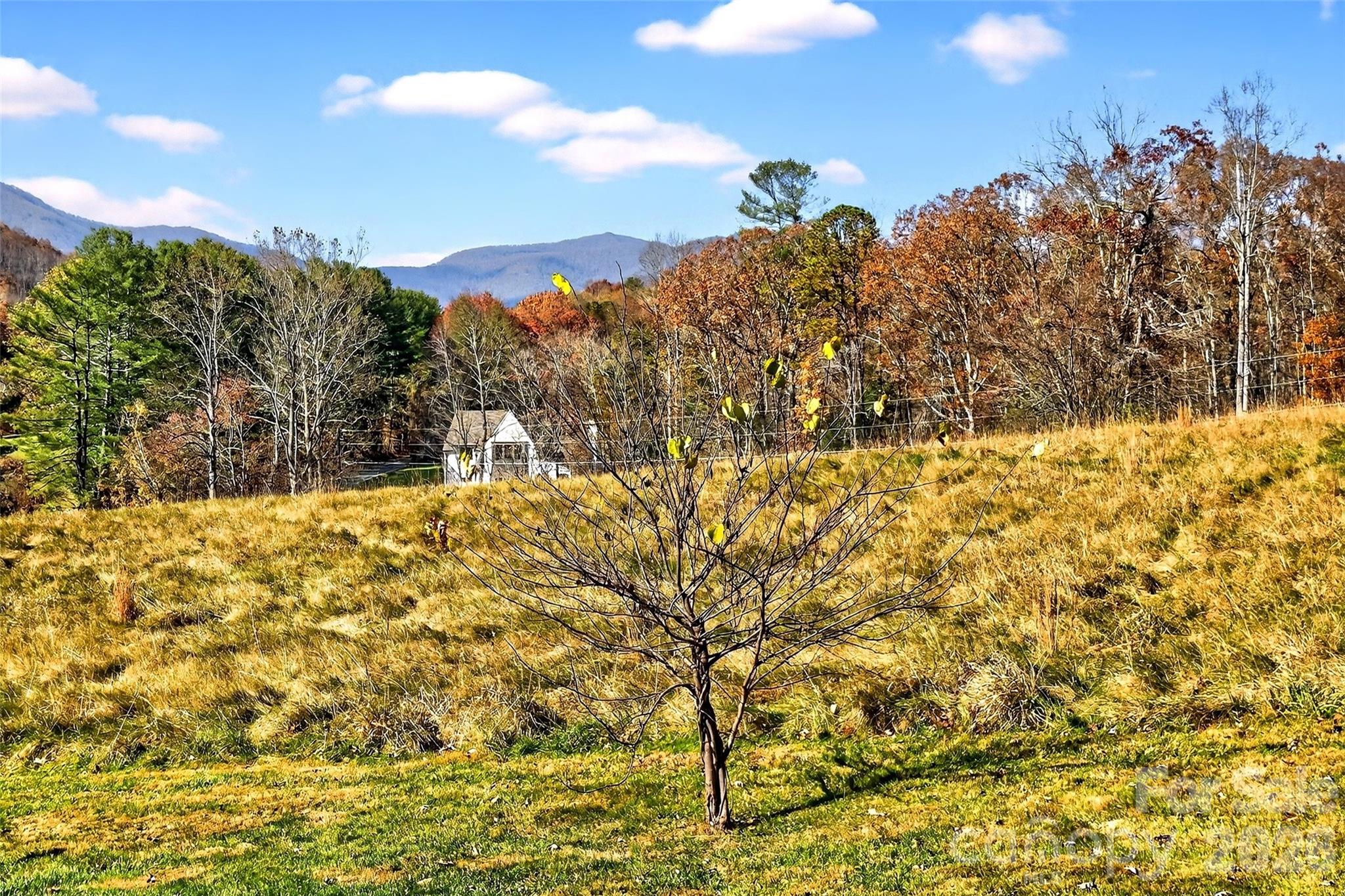 The Lynx Condominium - Residential