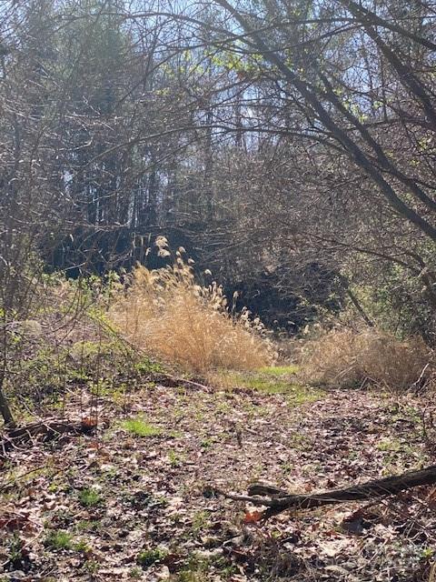 105 Mills Gap Road