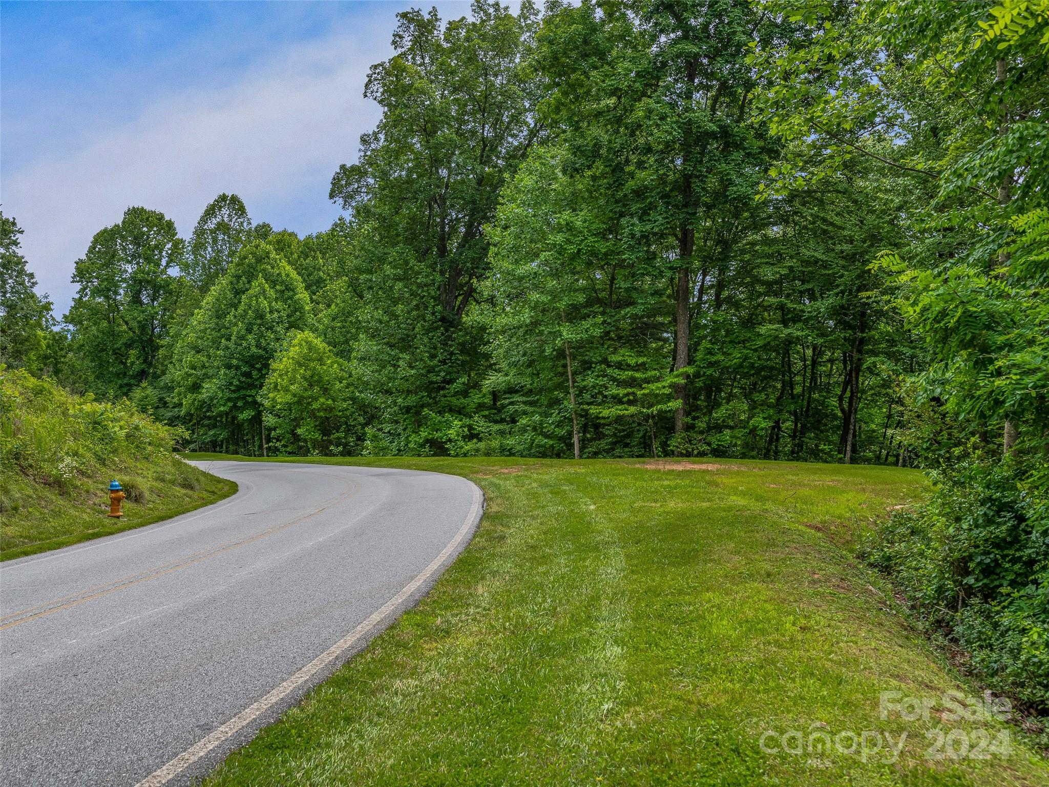 The Cliffs at Walnut Cove - Land