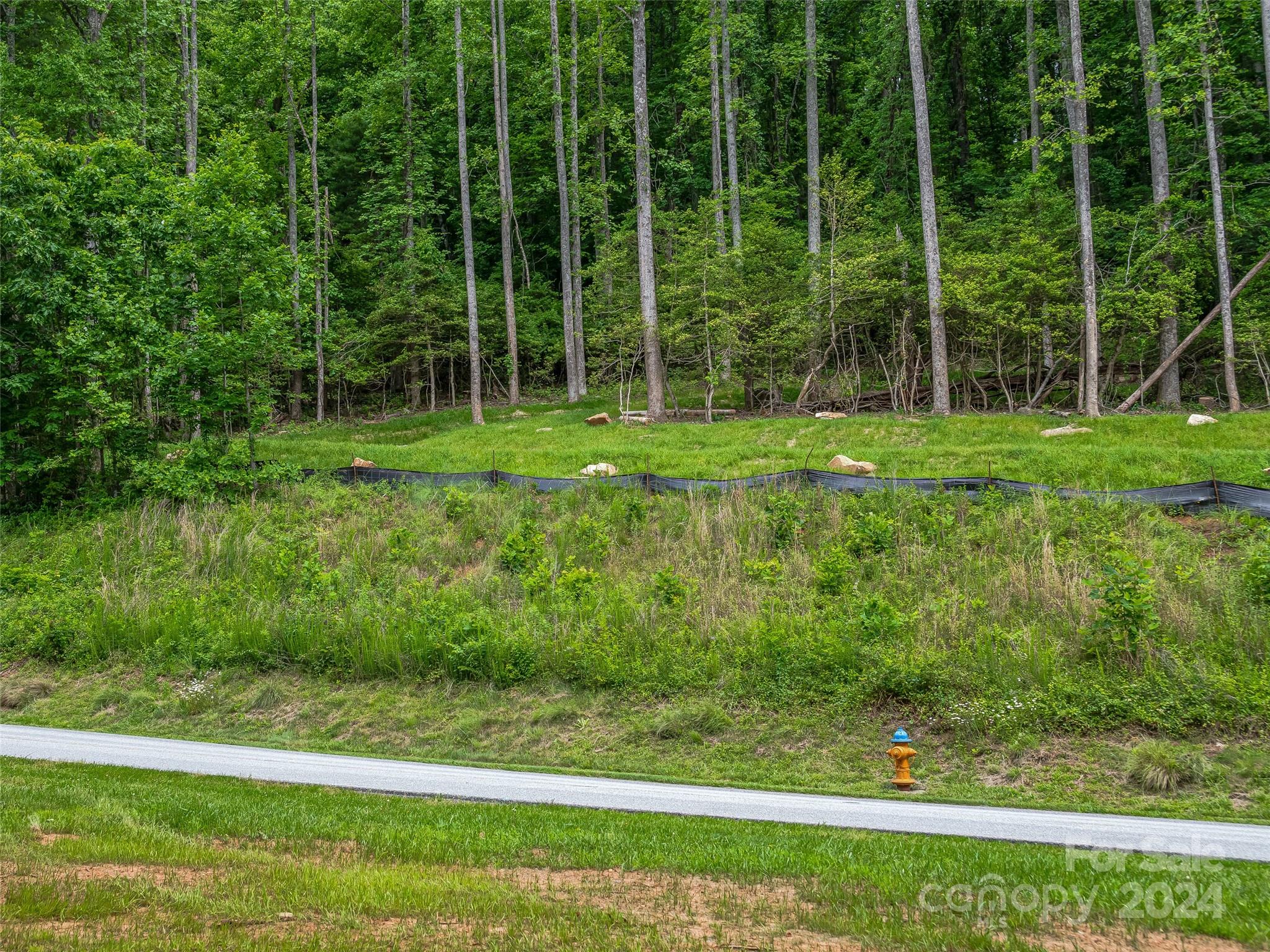 The Cliffs at Walnut Cove - Land