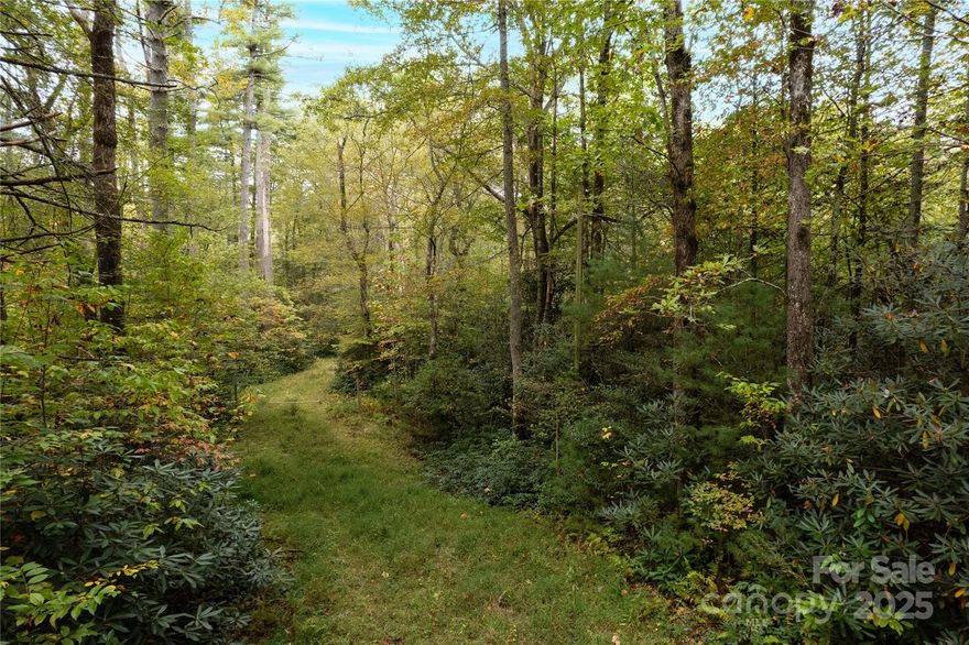 Discover your peaceful mountain retreat in Cedar Mountain! This .88-acre residential lot is tucked away in the Holly Springs subdivision, offering a private and quiet setting surrounded by nature. The location provides the perfect balance of seclusion and convenience— near some of the area’s most breathtaking outdoor destinations, including DuPont State Forest, Jones Gap State Park, and Caesars Head State Park.
While the setting feels remote and tranquil, you’re still only 18 minutes to downtown Brevard, less than 5 minutes to the South Carolina state line, and just about an hour to both Greenville SC, and Asheville NC. Whether you’re seeking a primary residence, a second home, or a mountain getaway, this property gives you the flexibility to create the lifestyle you’ve been dreaming of!