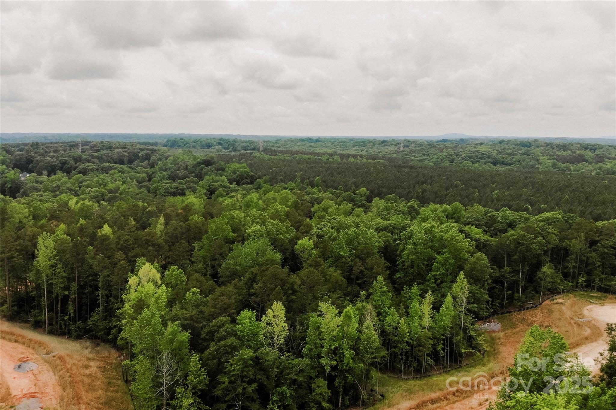 Southern Pine Lake - Land