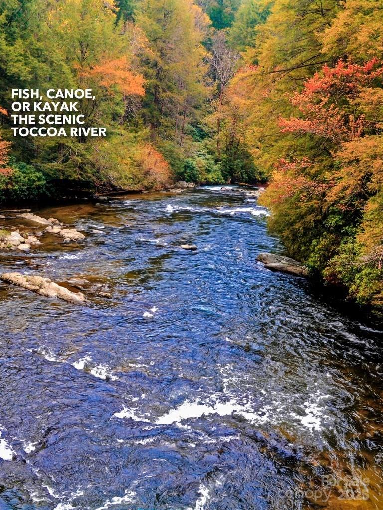 Wilderness Creek Falls - Land