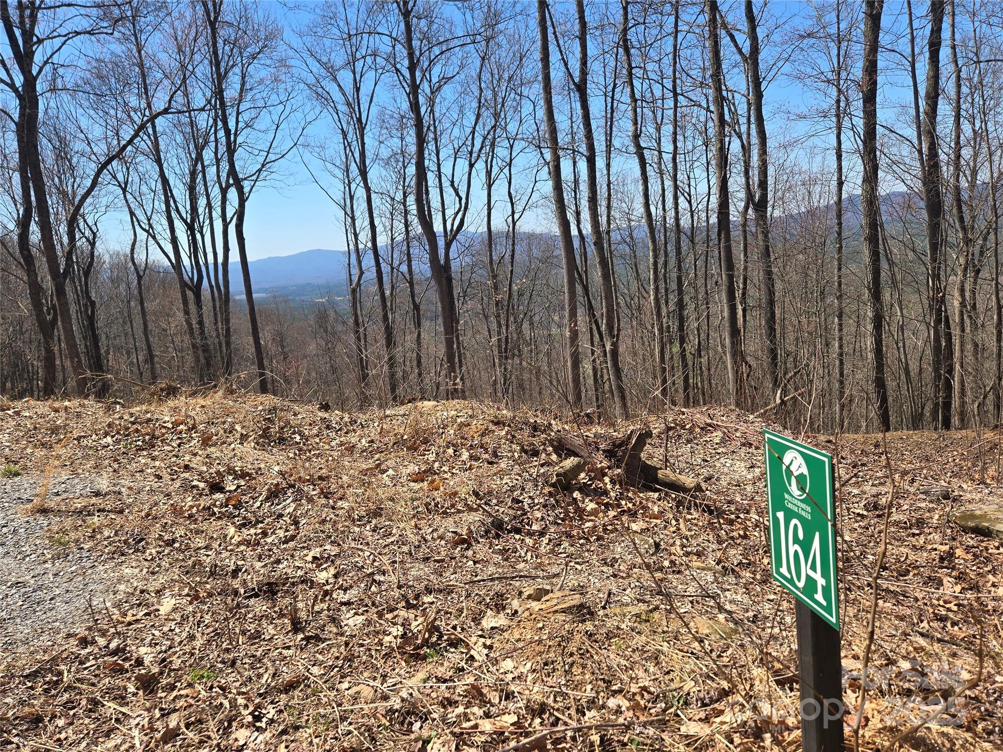 164 Wilderness Creek Way 164