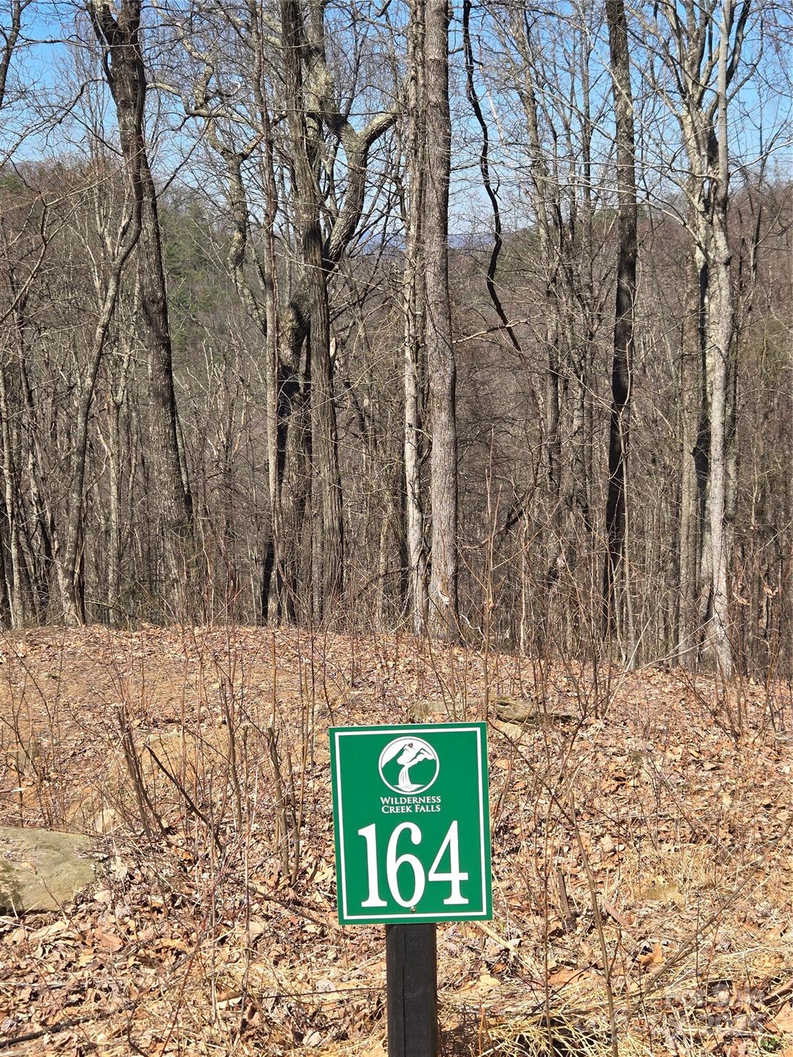Wilderness Creek Falls - Land