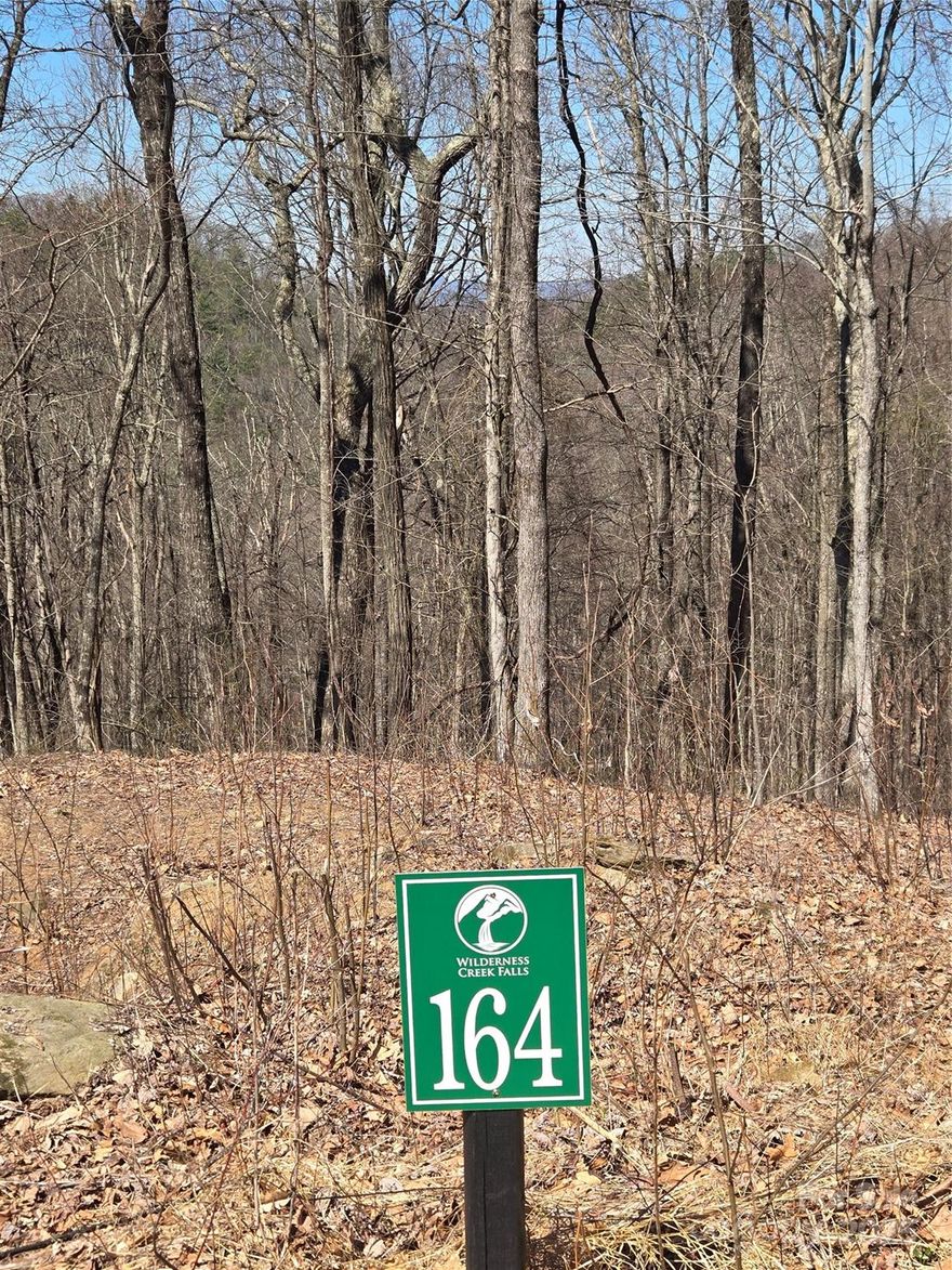 RELAX & Enjoy the perfect getaway with Top of the World Views at Wilderness Creek Falls! - Close to Blue Ridge, McCaysville and Murphy! Lot 164 is a private 0.87 acre lot with a great buildsite and huge panoramic long-range mountain views!  Whether you are looking for quiet or ready for adventure-this community offers it all! Amenities Include 5 acre waterfall park featuring a firepit, patio, and pavilion, hiking trails to a mountain overlook observation deck, 2 acre conservation park with two serene ponds, and additional common area with a large firepit and seating. Nestled within a gated community, you can enjoy breathtaking views without an exorbitant cost. Explore the North GA, Western NC, & TN Line for renowned trails, serene floats down the Toccoa River, wanders through heritage orchards, golfing at Old Toccoa Farms, hiking, fishing, or a tranquil float on the Ocoee River, Toccoa River, or Blue Ridge Lake.