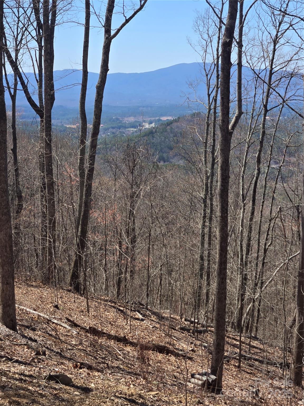 164 Wilderness Creek Way 164