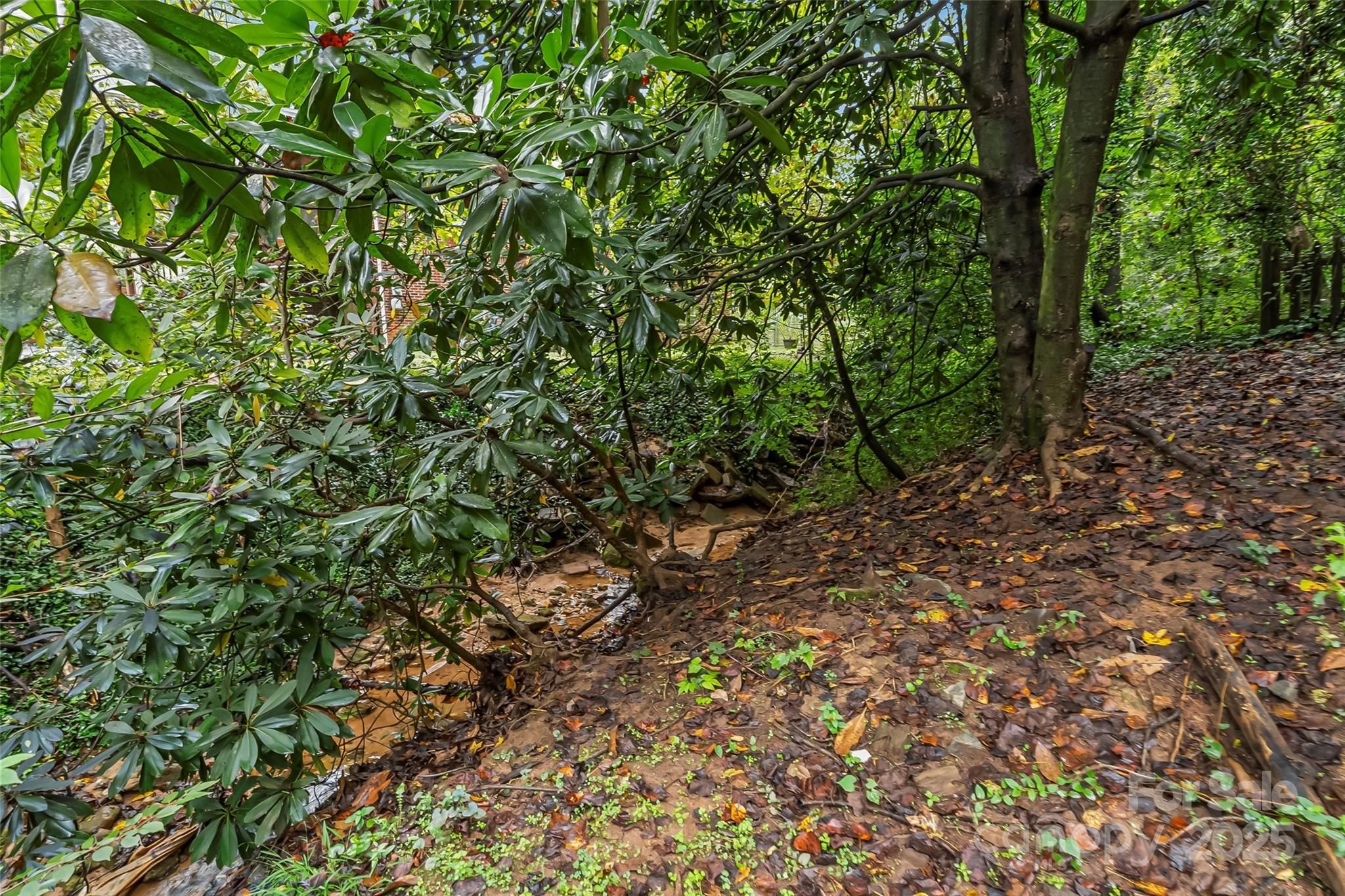 Mountainbrook - Residential