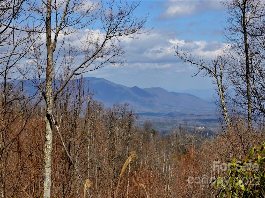 +/- 150 Acres Moondance Trail