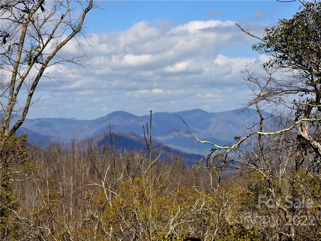 +/- 150 Acres Moondance Trail