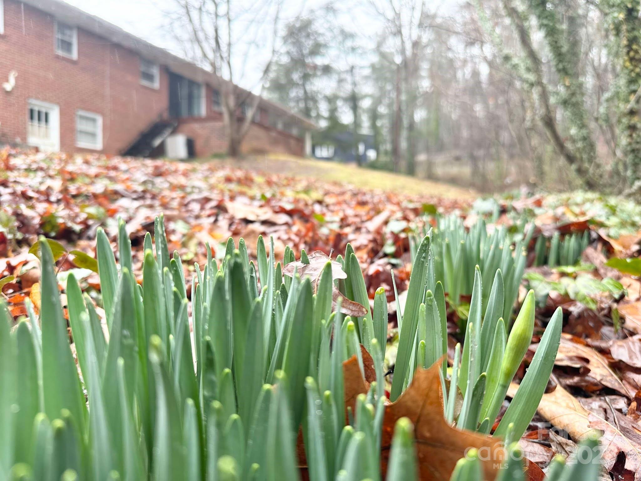 Lenoir, North Carolina 28645, United States, 3 Bedrooms Bedrooms, ,3 BathroomsBathrooms,Residential,Under Contract,3900