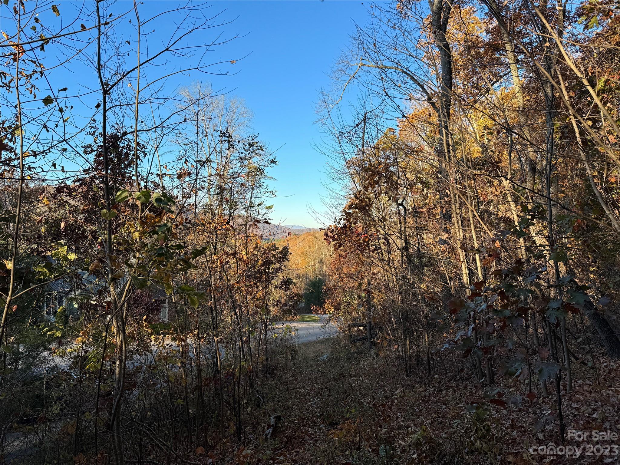 10 Clear Fork Lane 530
