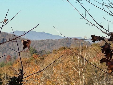 10 Clear Fork Lane 530 Fairview NC 28730