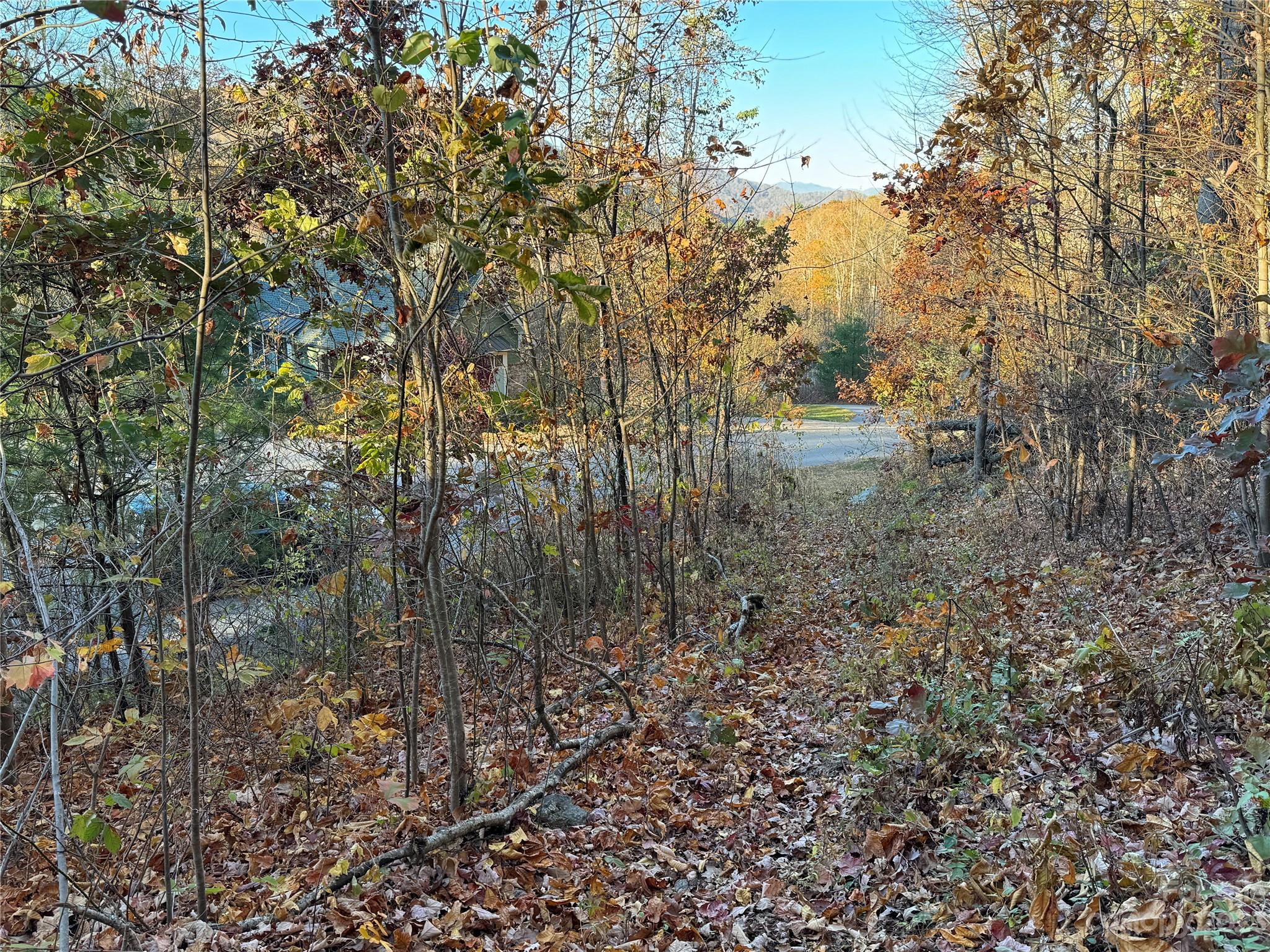 10 Clear Fork Lane 530
