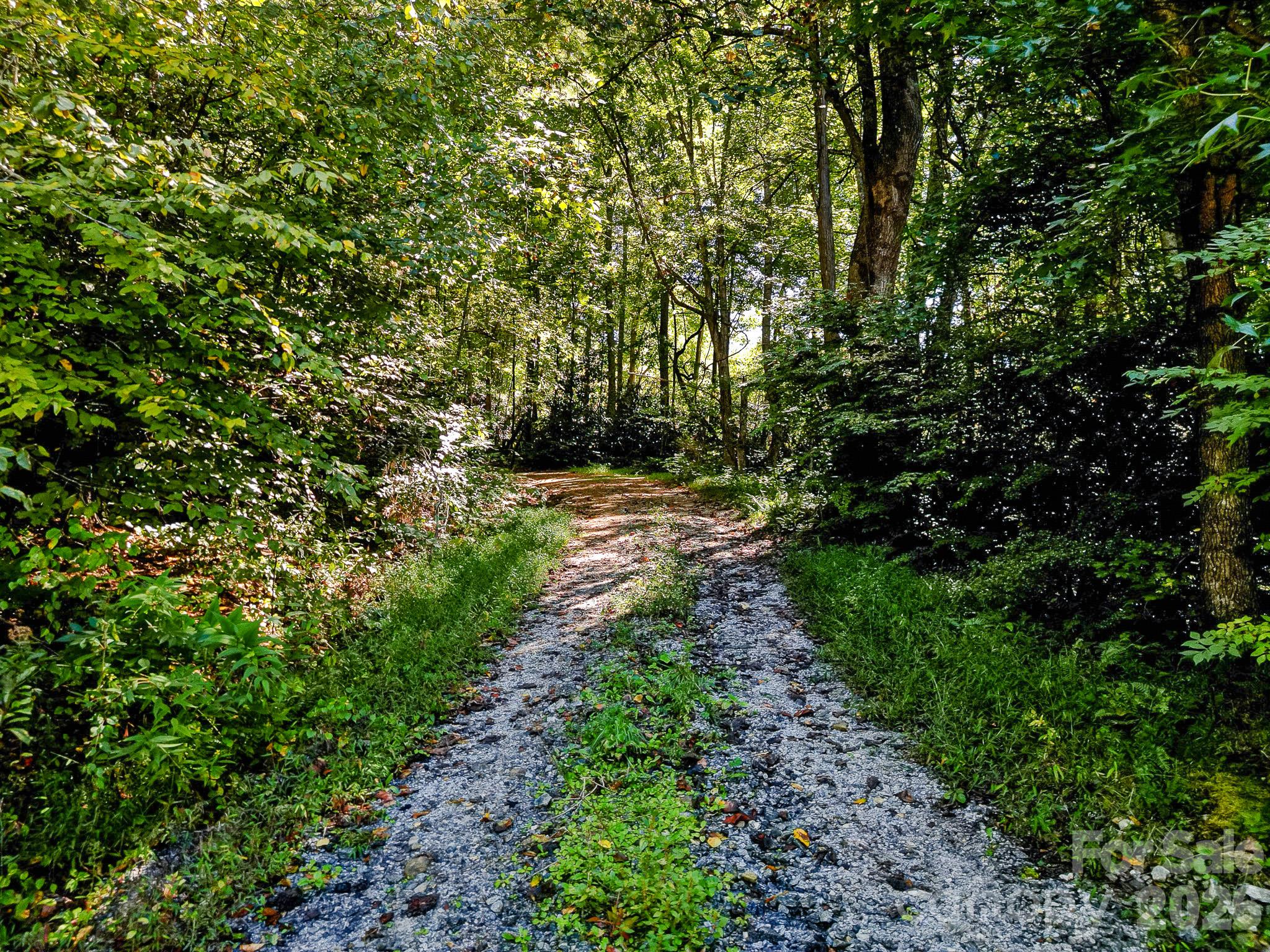 172 Rocky Top Ridge Drive