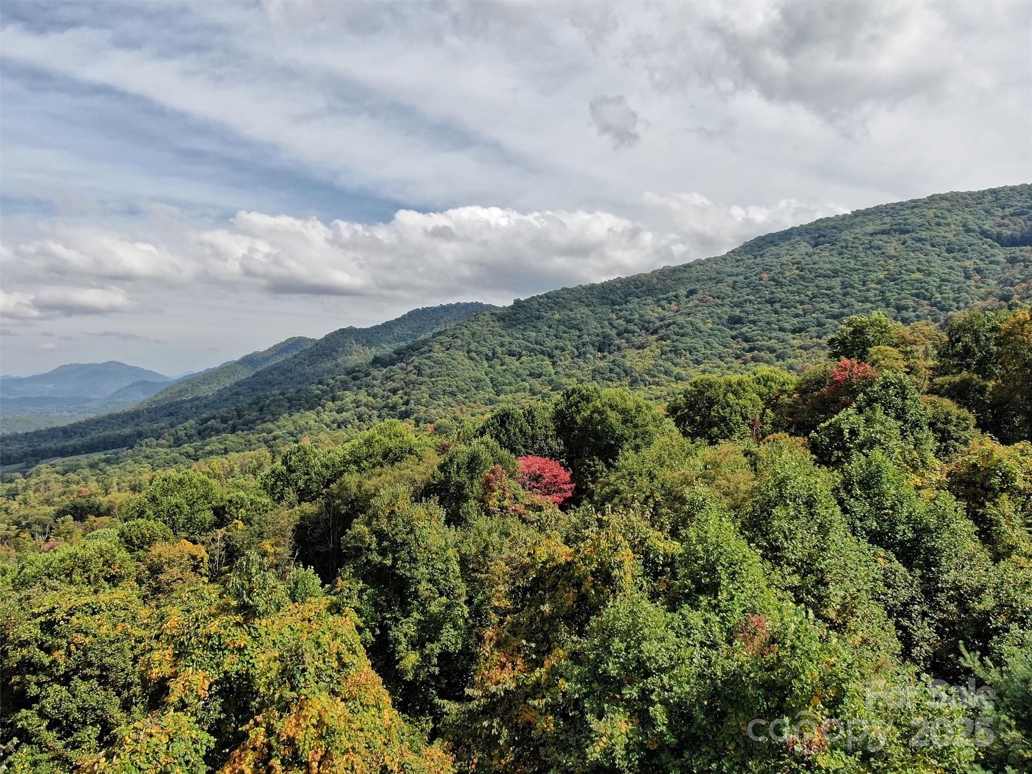 Apple Blossom Estate - Land