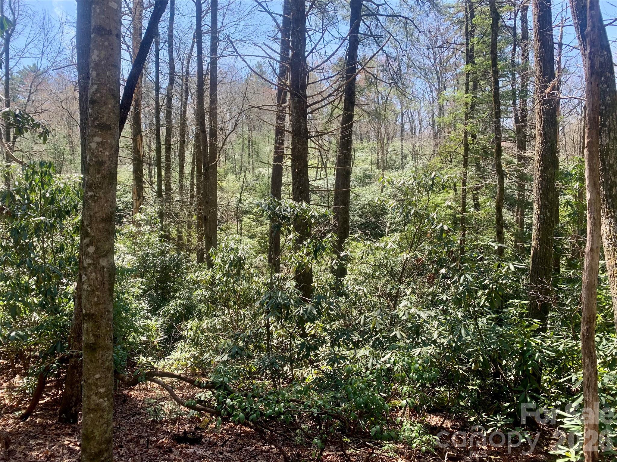 Indian Lake Estates - Land