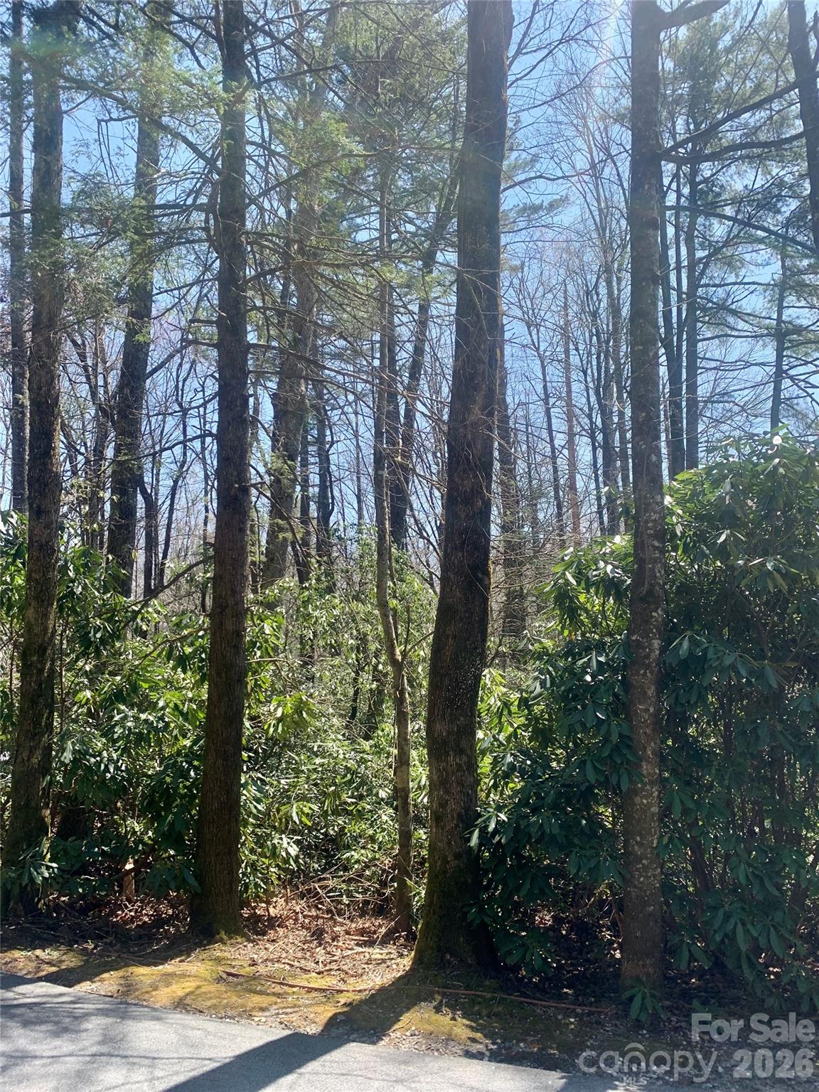 Lot 20A Indian Lake Road 20A